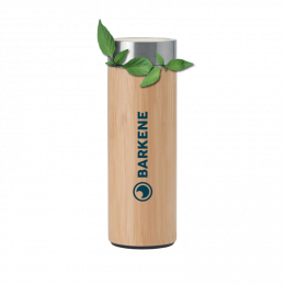 Gourde double paroi Bambou