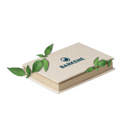 Bloc-notes et notes adhésives papier-herbe